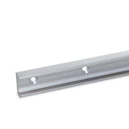 Otto Ganter Cam Roller Linear Guide Rail for Linear Guide Rail System C Profile, GN 2422